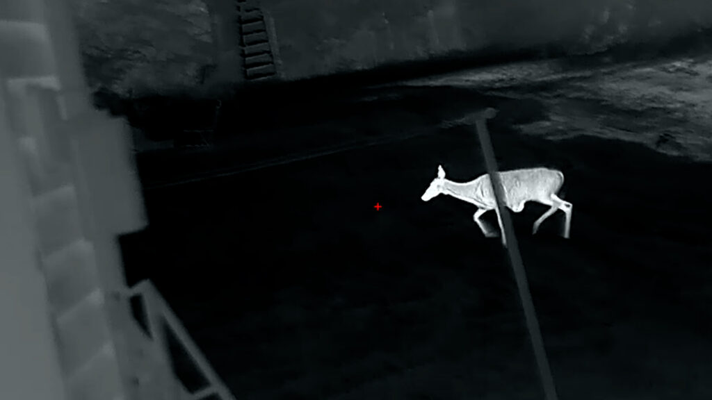 Understanding how Thermal Imaging Works Arkayne